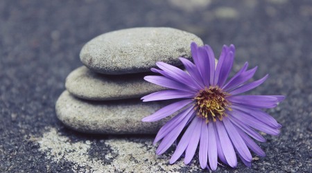 Steinhaufen mit Blume (© TanteTati - pixabay.com)